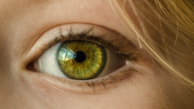 people-face-child-eye-32267