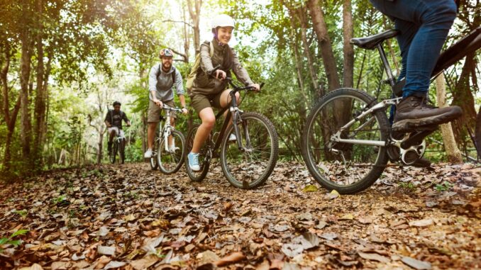 group-friends-ride-mountain-bike-forest-together (1)