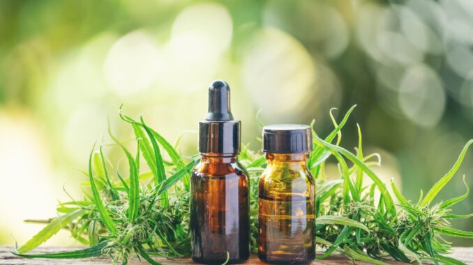 cannabis with cannabidiol (cbd) extract in a bottle