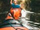 selective focus photography of woman riding kayak holding oar during daytime
